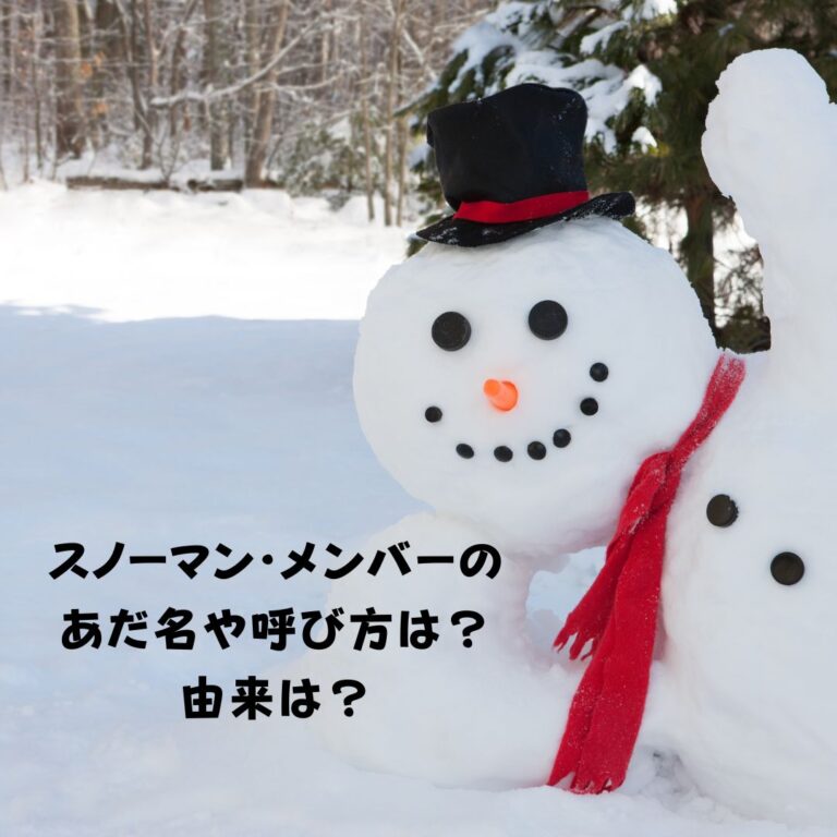 スノーマン（Snow Man）メンバーのあだ名や呼び方は？由来は？