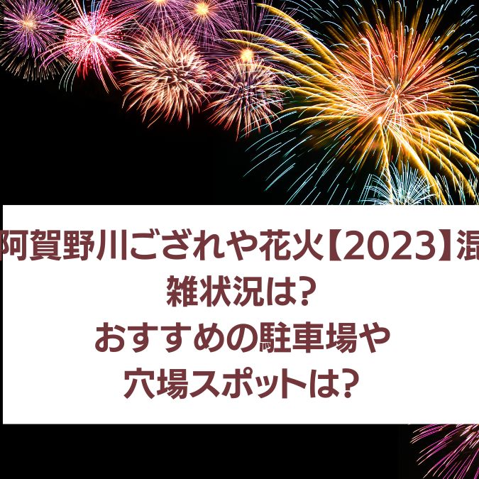 阿賀野川ござれや花火【2023】